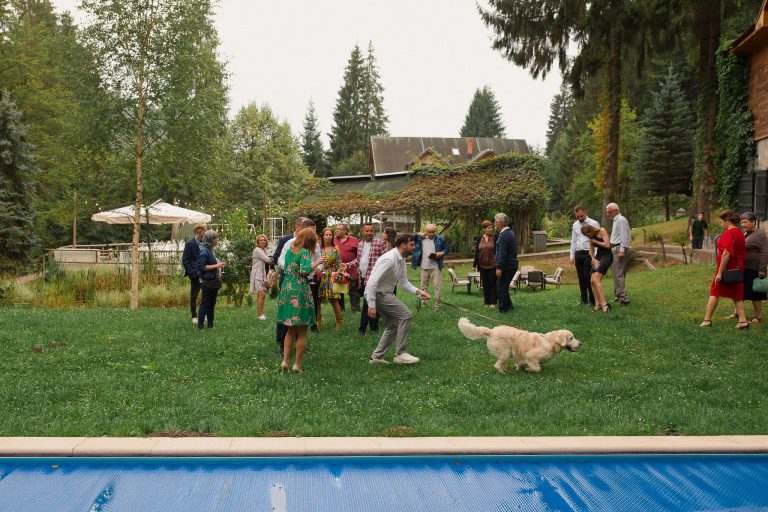 fotograf nunta hadar chalet inima padurii