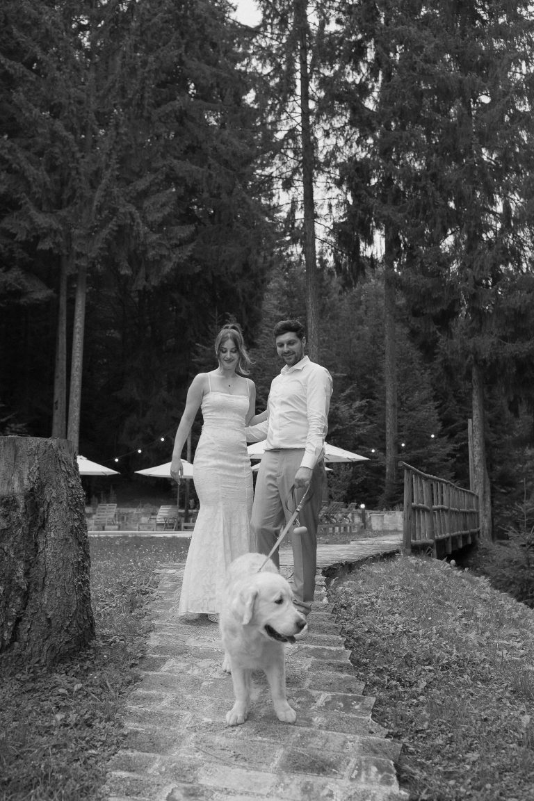 fotograf nunta hadar chalet inima padurii