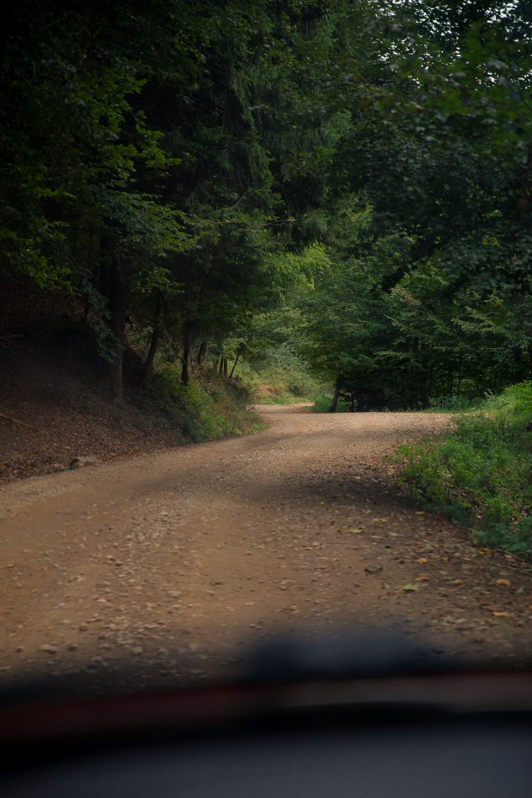fotograf nunta hadar chalet inima padurii
