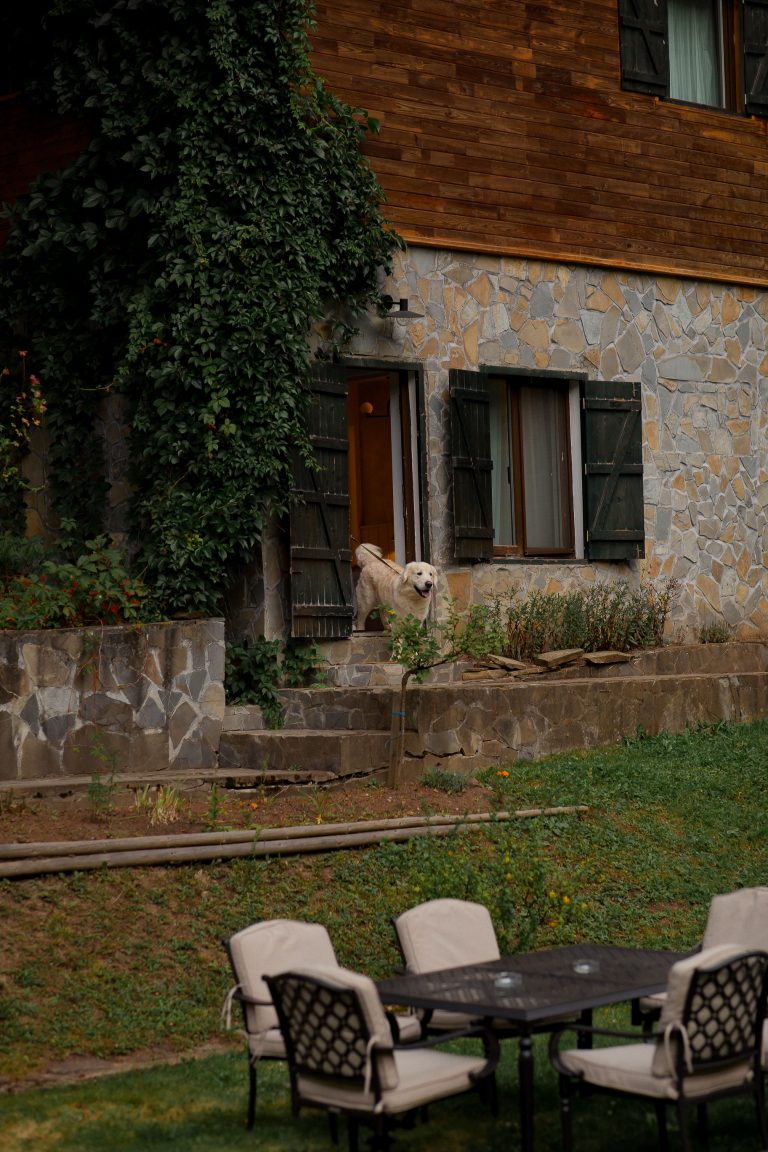 fotograf nunta hadar chalet inima padurii