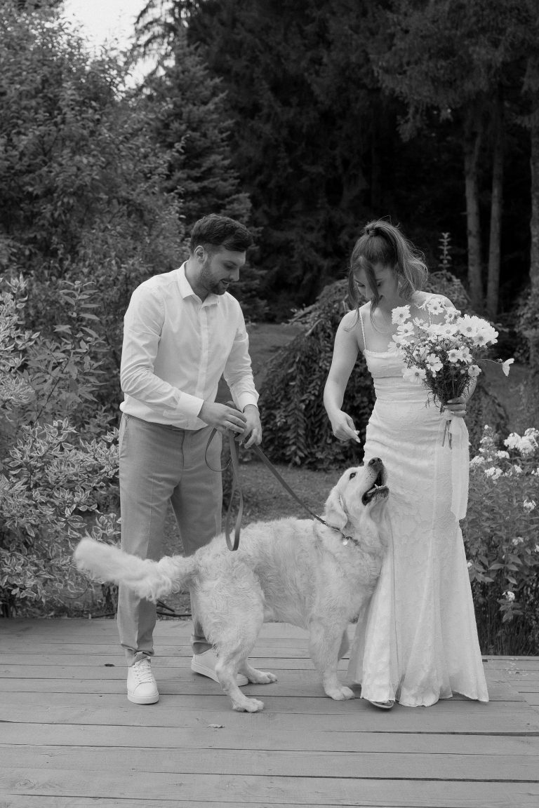 fotograf nunta hadar chalet inima padurii