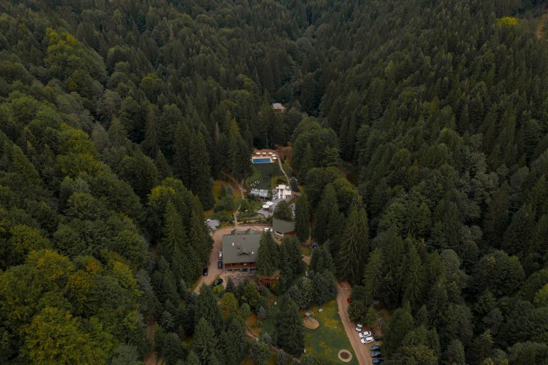 fotograf nunta hadar chalet inima padurii