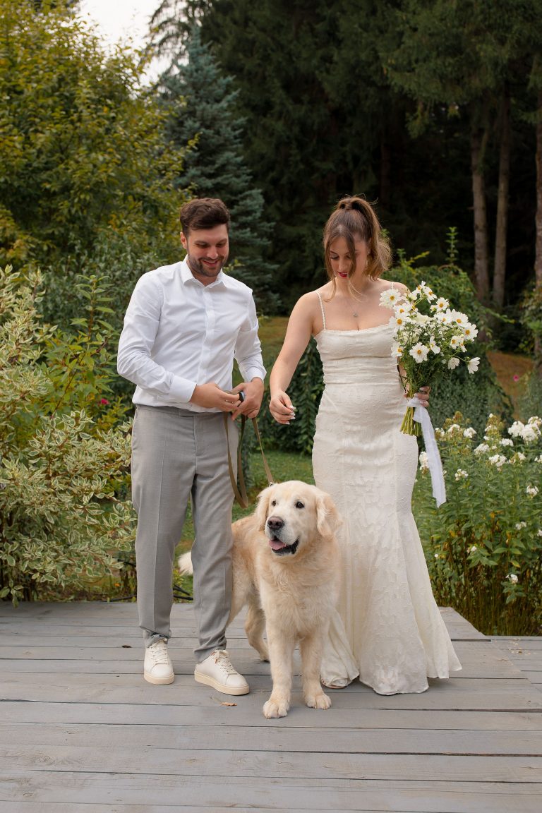 fotograf nunta hadar chalet inima padurii