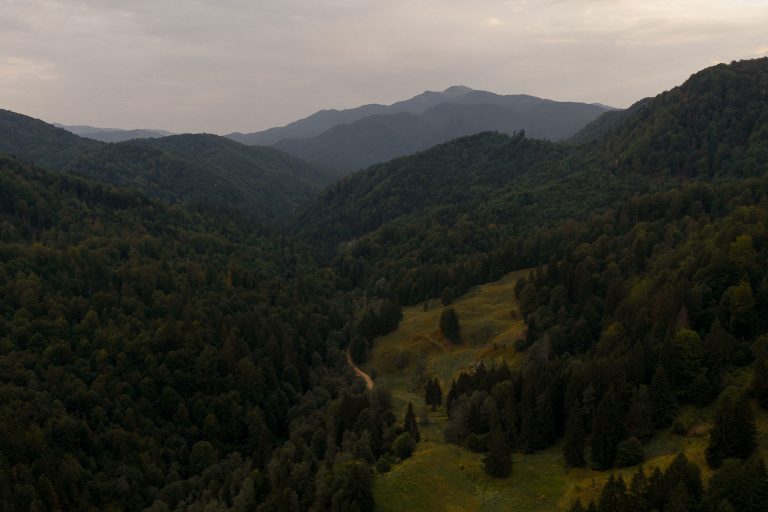 fotograf nunta hadar chalet inima padurii