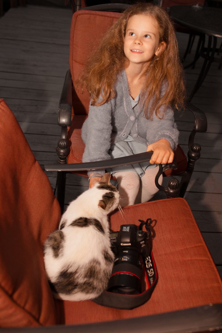 fotograf nunta hadar chalet inima padurii