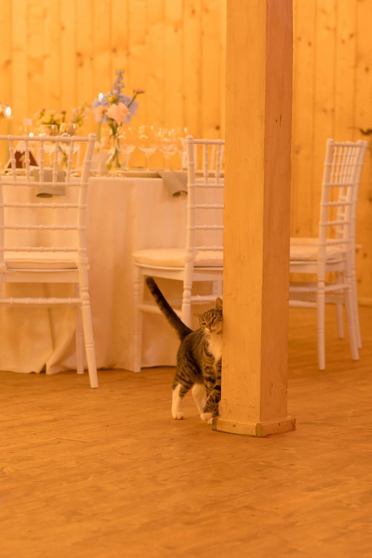 nunta hadar inima padurii