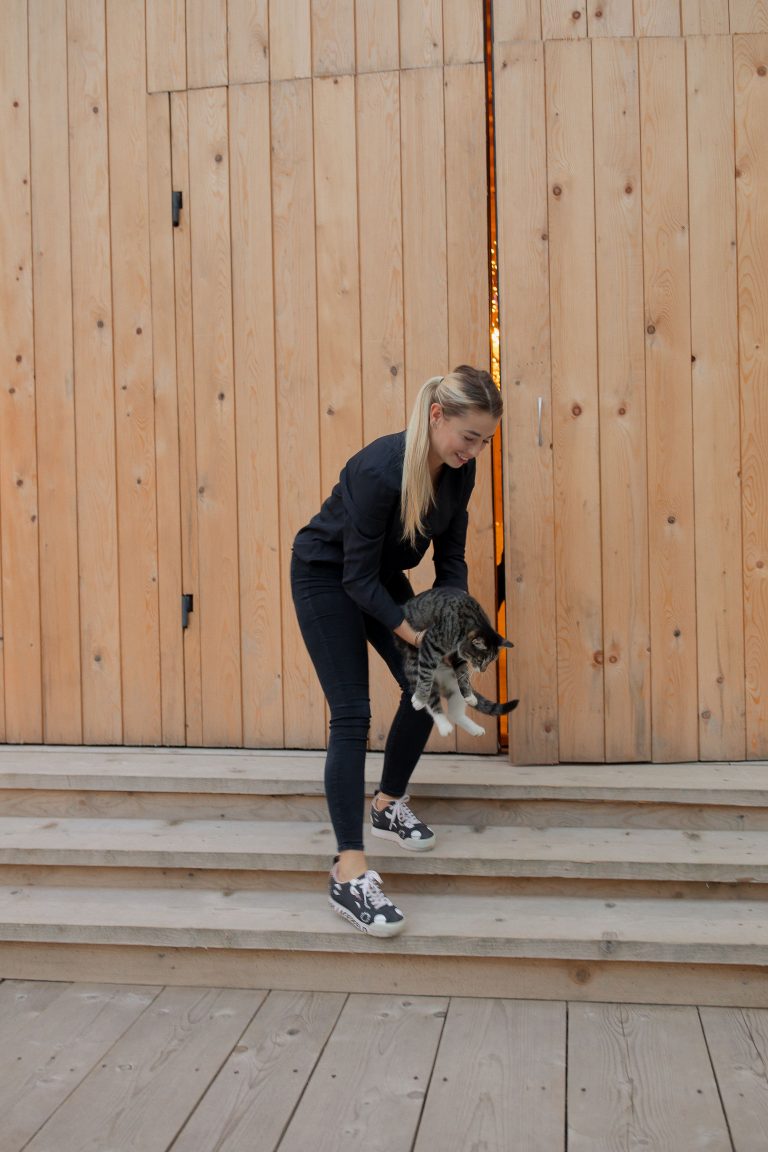 nunta hadar inima padurii