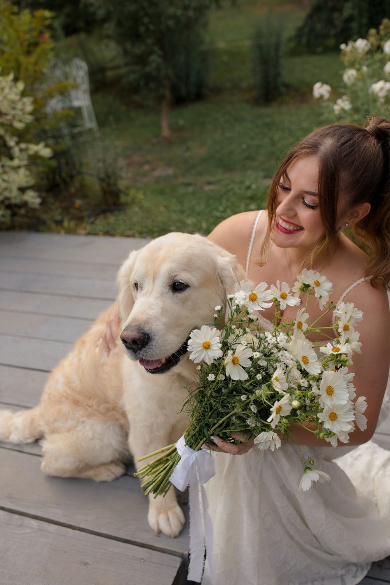 fotograf nunta hadar chalet inima padurii