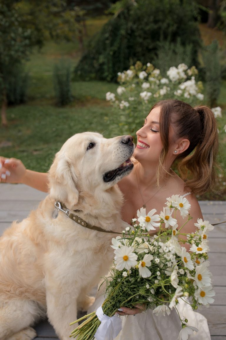 mireasa si caine golden