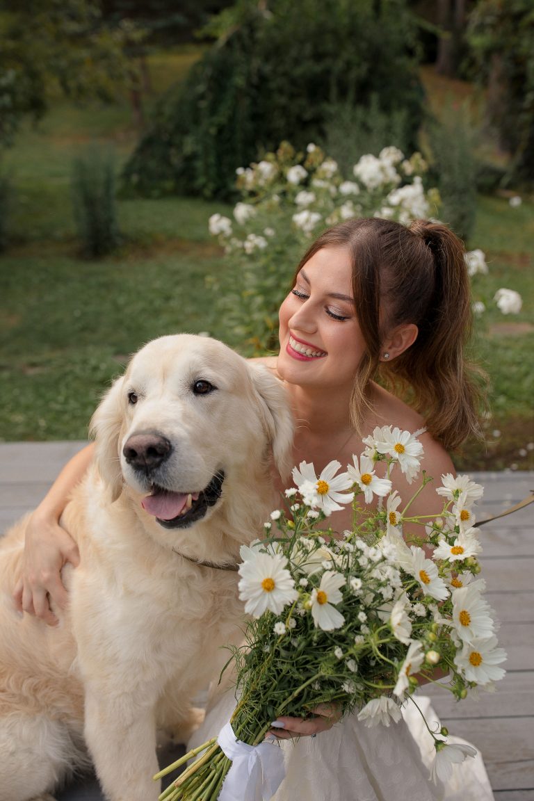 mireasa si caine golden