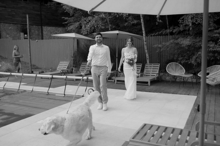 fotograf nunta hadar chalet inima padurii