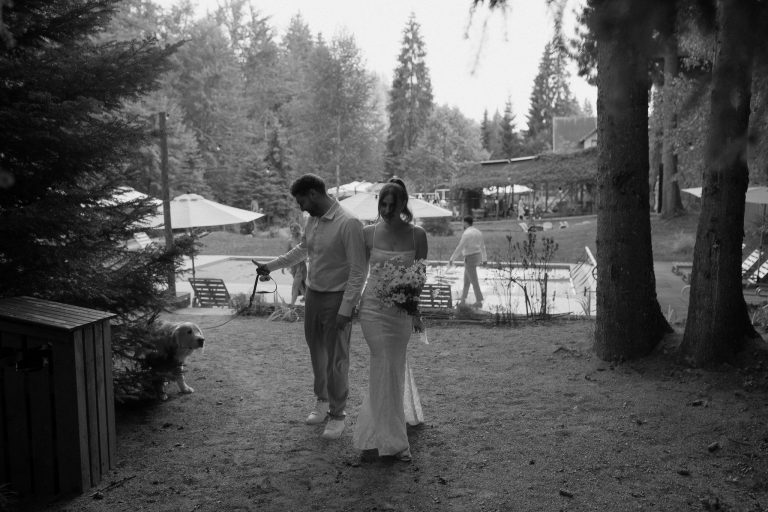 fotograf nunta hadar chalet inima padurii