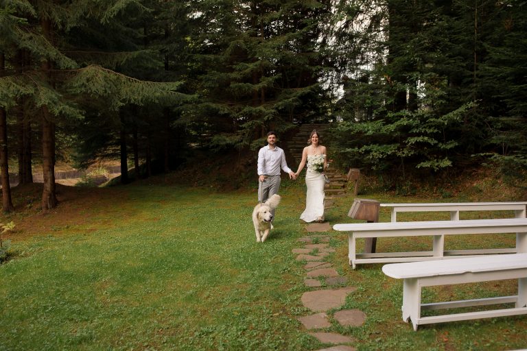 fotograf nunta hadar chalet inima padurii