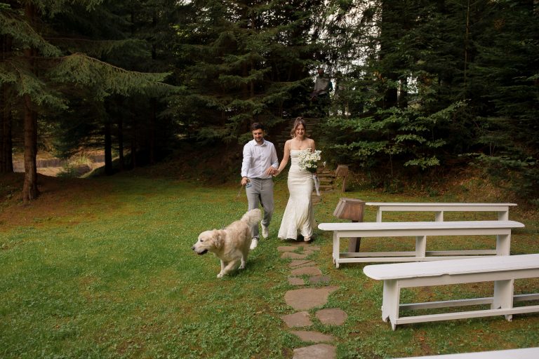 fotograf nunta hadar chalet inima padurii