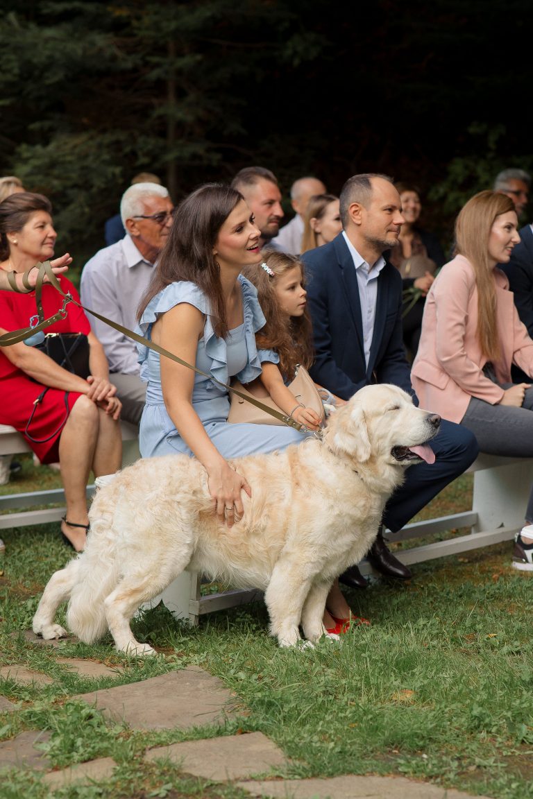 fotograf nunta hadar chalet inima padurii