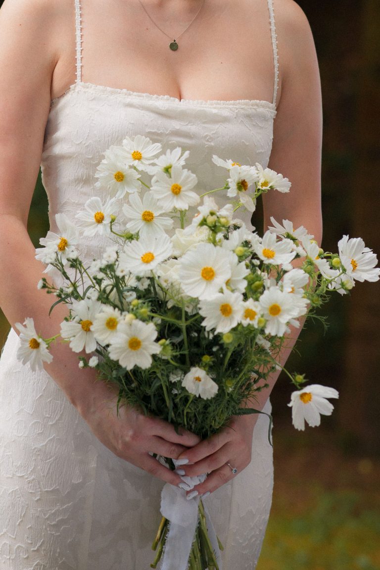 fotograf nunta hadar chalet inima padurii